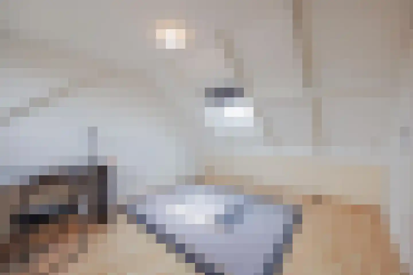 Sef van Megenlaan 25 Broekhuizen thumbnail 34