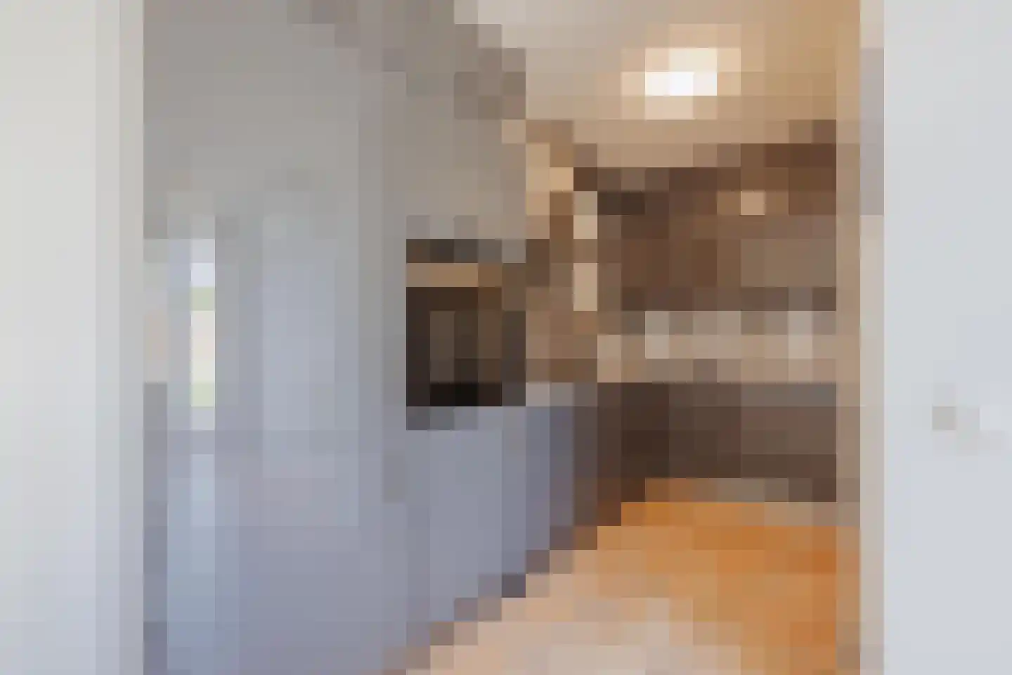 Sef van Megenlaan 25 Broekhuizen thumbnail 5