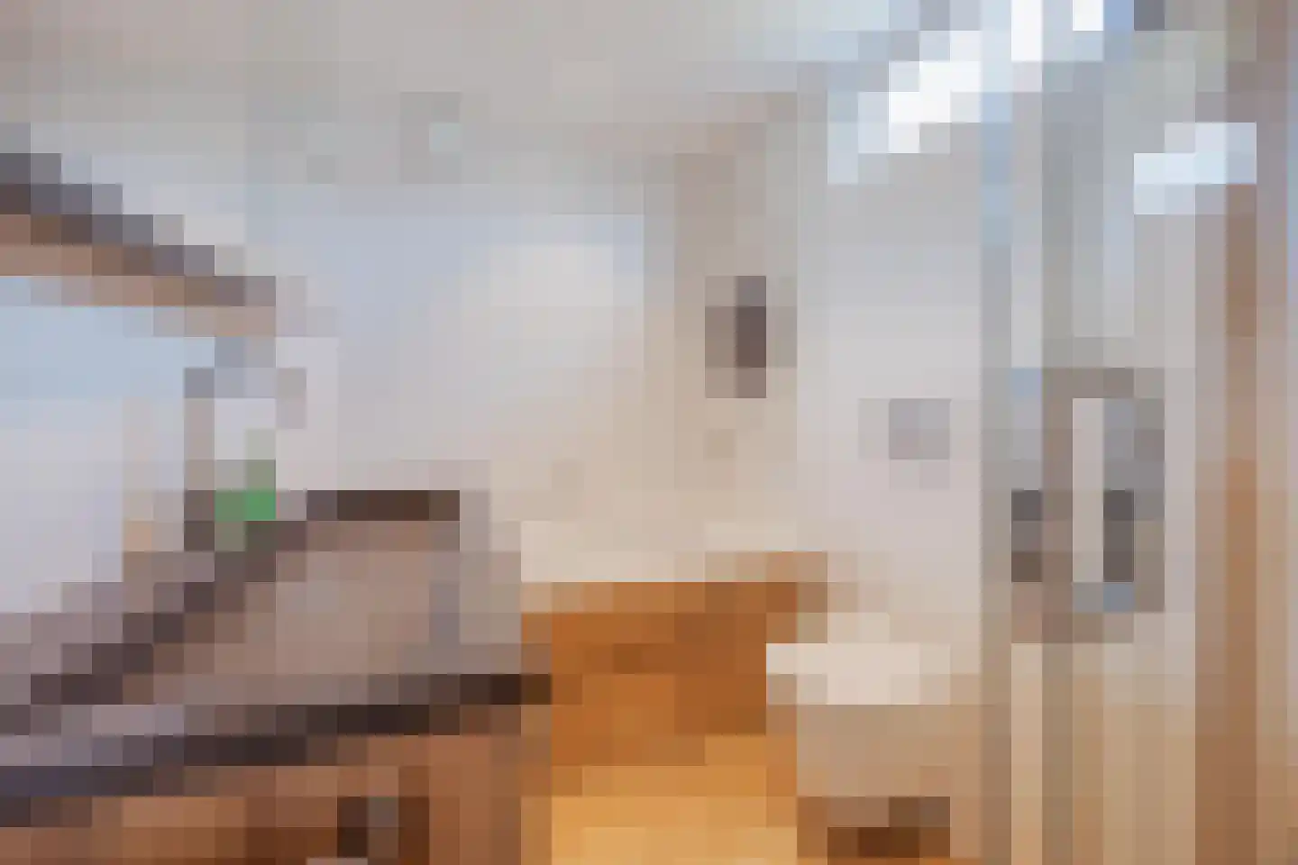 Sef van Megenlaan 25 Broekhuizen thumbnail 6