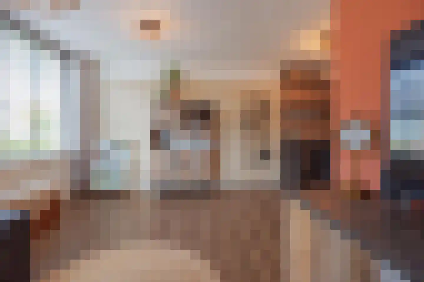 Sef van Megenlaan 3 Broekhuizen thumbnail 12