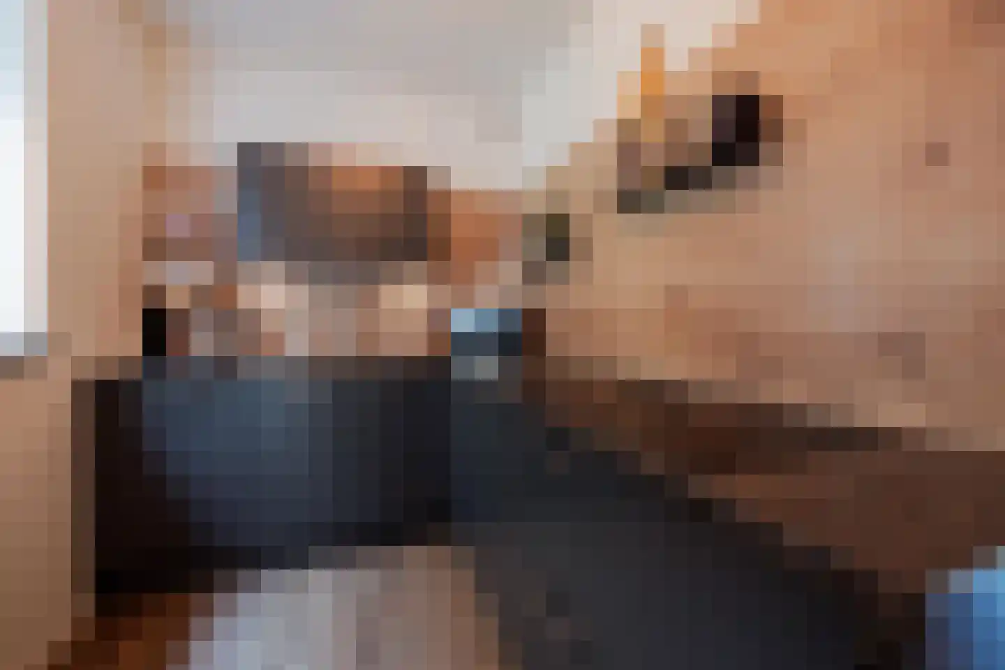 Sef van Megenlaan 3 Broekhuizen thumbnail 16
