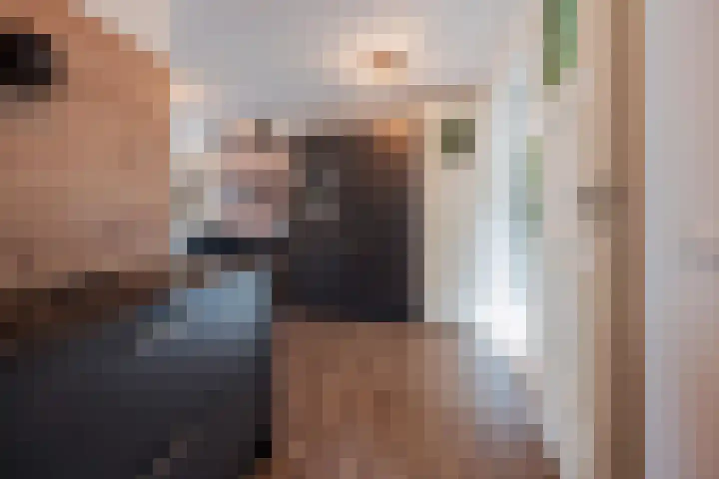 Sef van Megenlaan 3 Broekhuizen thumbnail 17