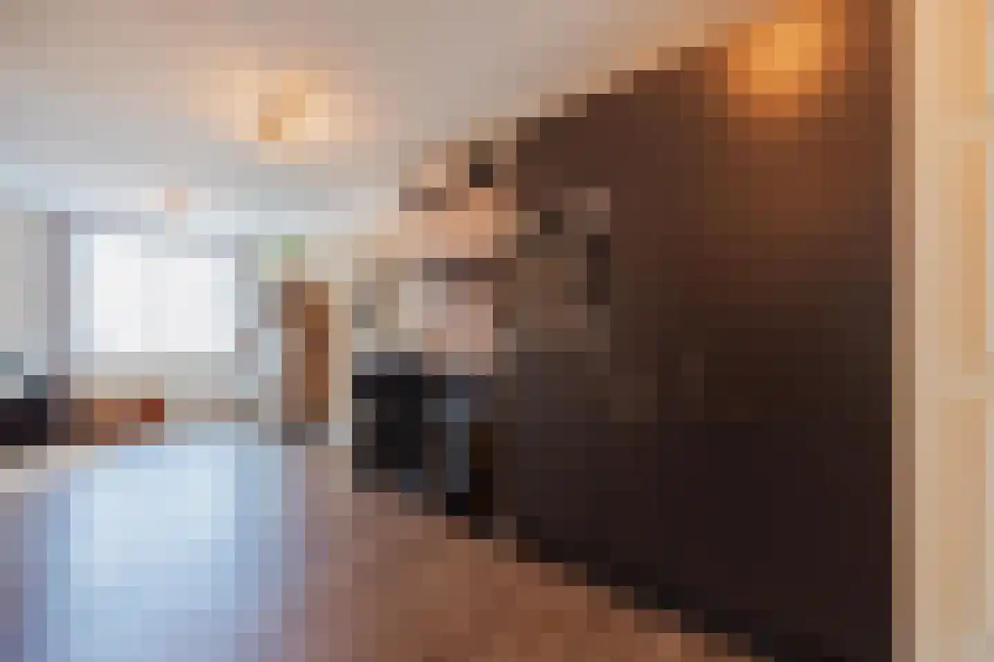 Sef van Megenlaan 3 Broekhuizen thumbnail 18