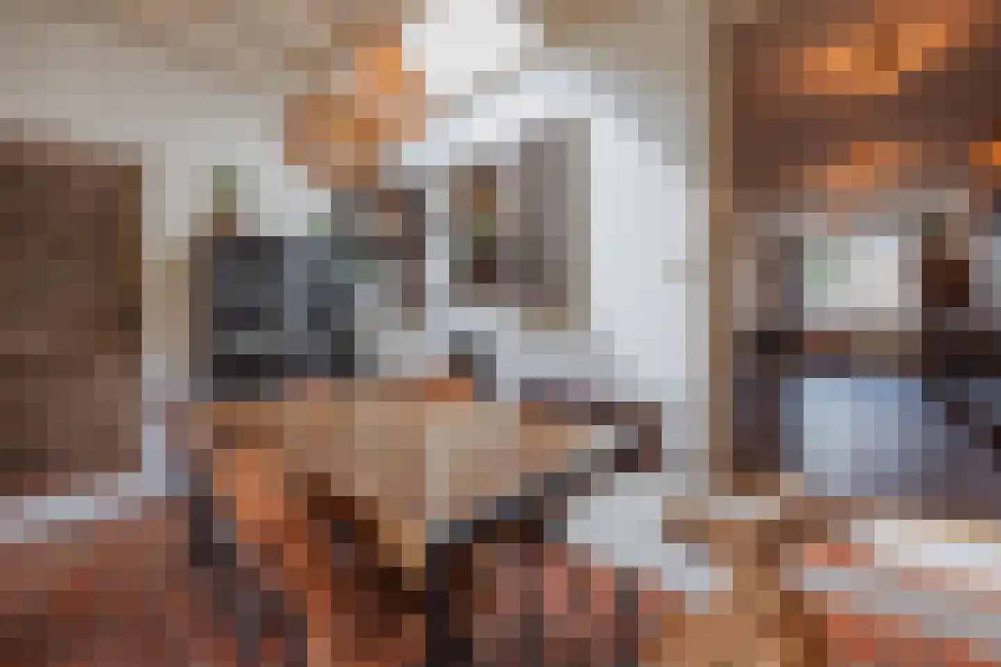 Sef van Megenlaan 3 Broekhuizen thumbnail 19