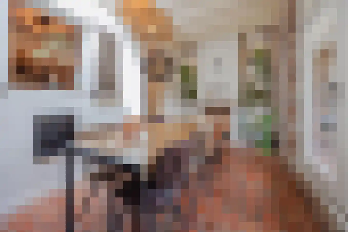 Sef van Megenlaan 3 Broekhuizen thumbnail 20