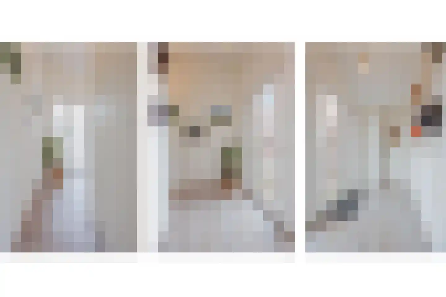 Sef van Megenlaan 3 Broekhuizen thumbnail 21