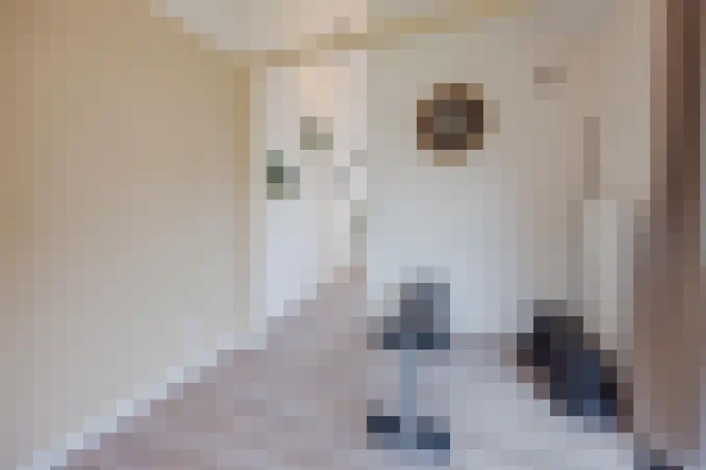 Sef van Megenlaan 3 Broekhuizen thumbnail 23