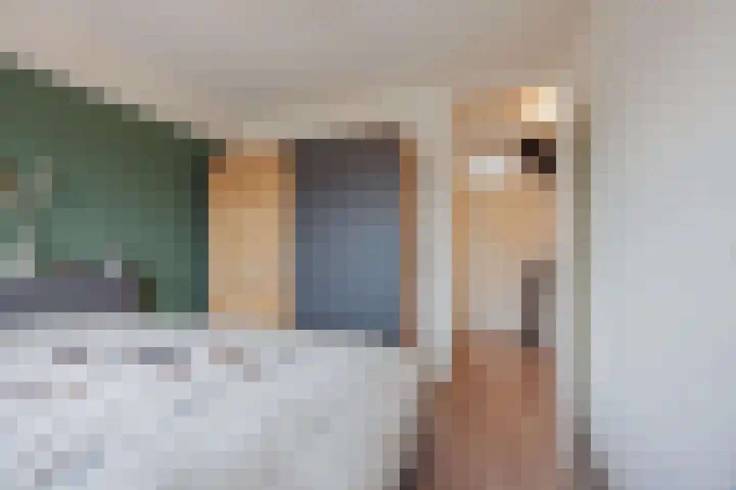 Sef van Megenlaan 3 Broekhuizen thumbnail 26