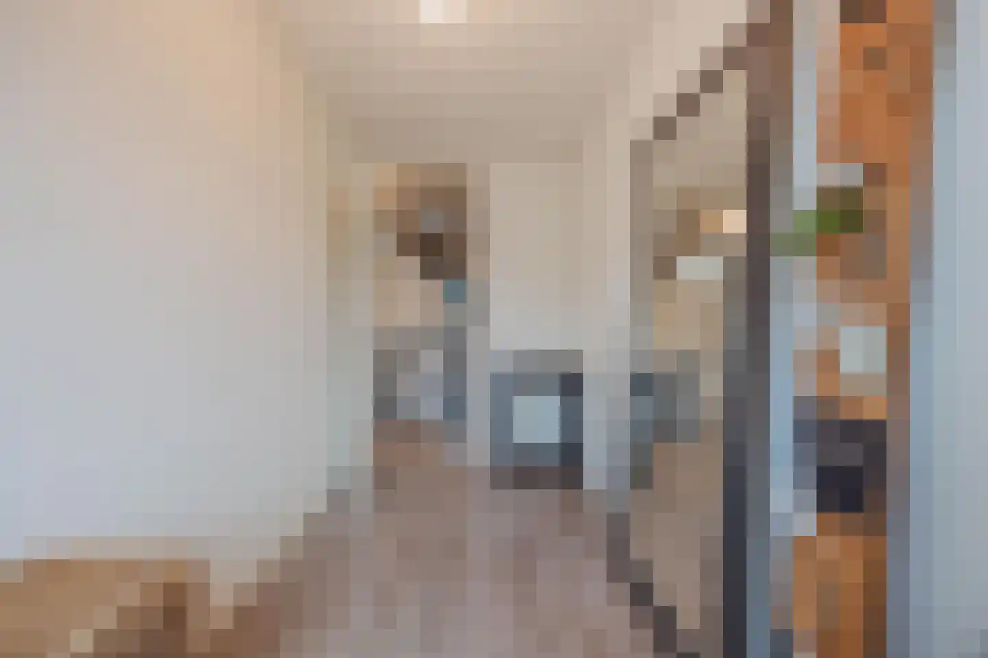 Sef van Megenlaan 3 Broekhuizen thumbnail 30