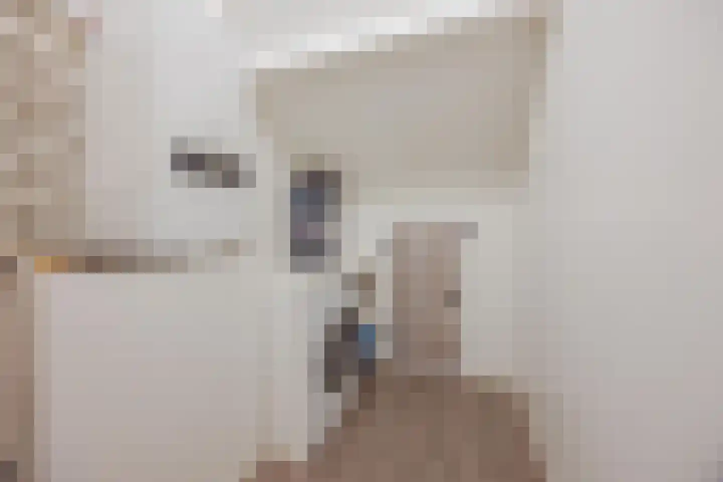 Sef van Megenlaan 3 Broekhuizen thumbnail 33
