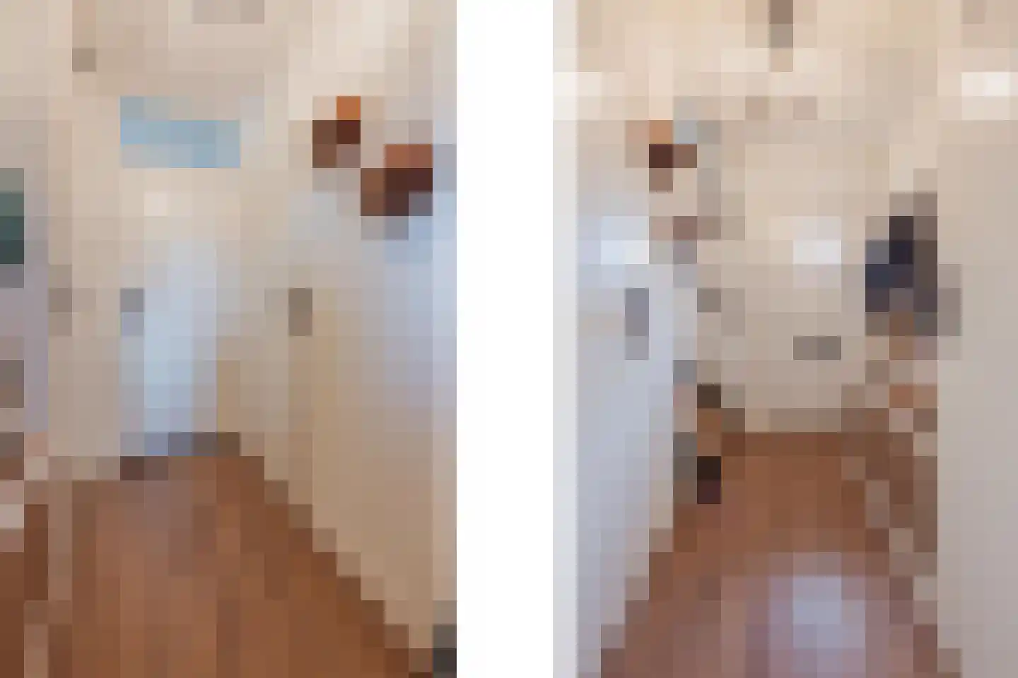 Sef van Megenlaan 3 Broekhuizen thumbnail 8