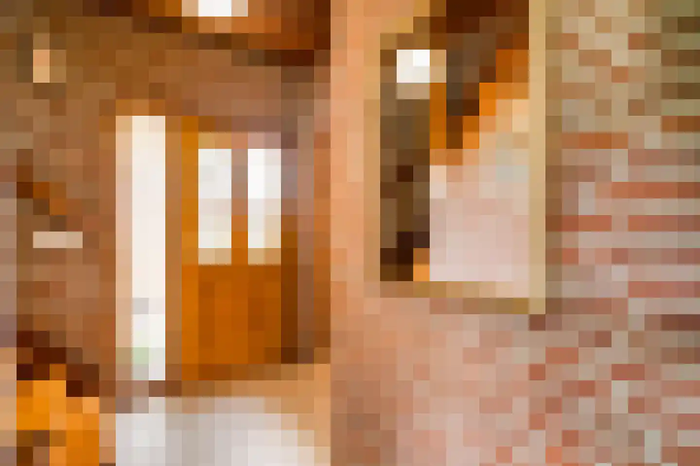 Sef van Megenlaan 7 Broekhuizen thumbnail 13
