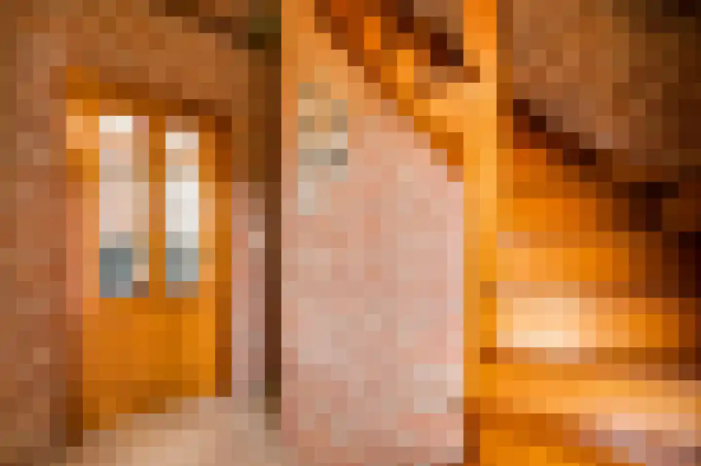 Sef van Megenlaan 7 Broekhuizen thumbnail 14