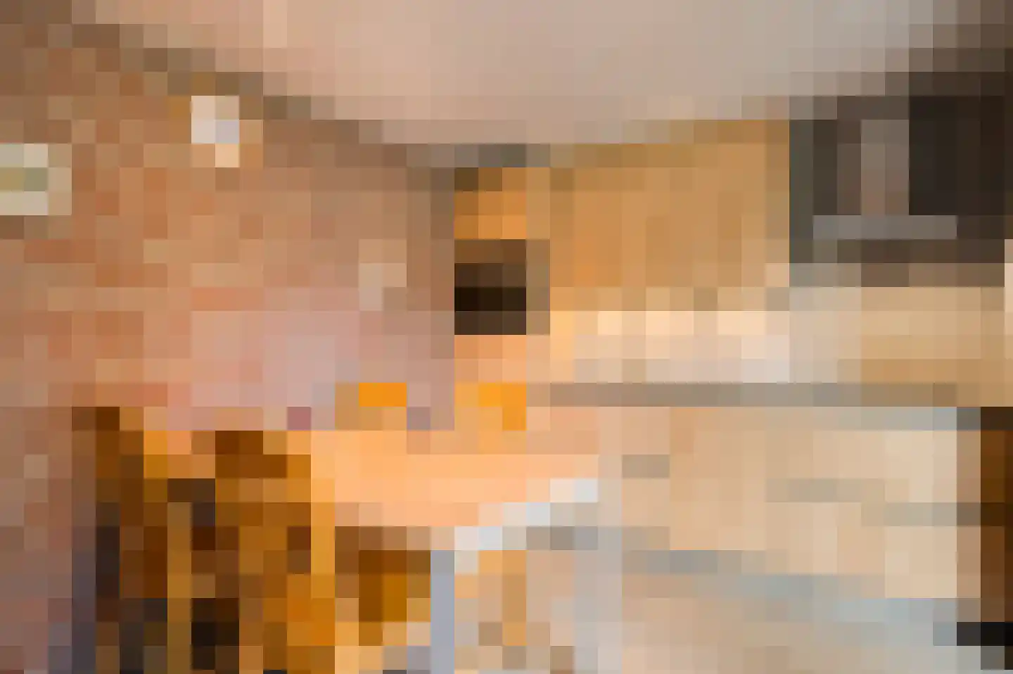 Sef van Megenlaan 7 Broekhuizen thumbnail 21