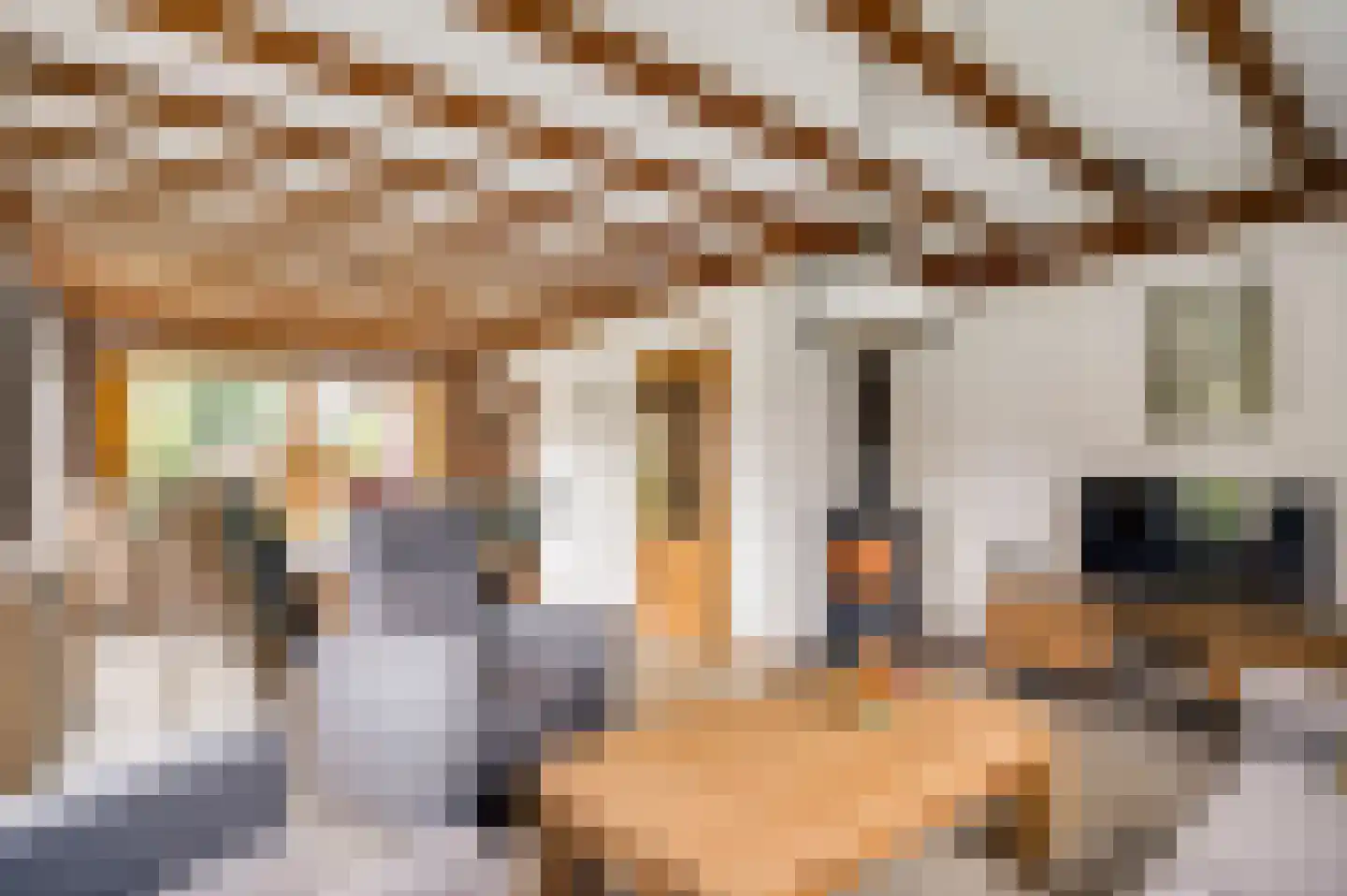 Sef van Megenlaan 7 Broekhuizen thumbnail 25