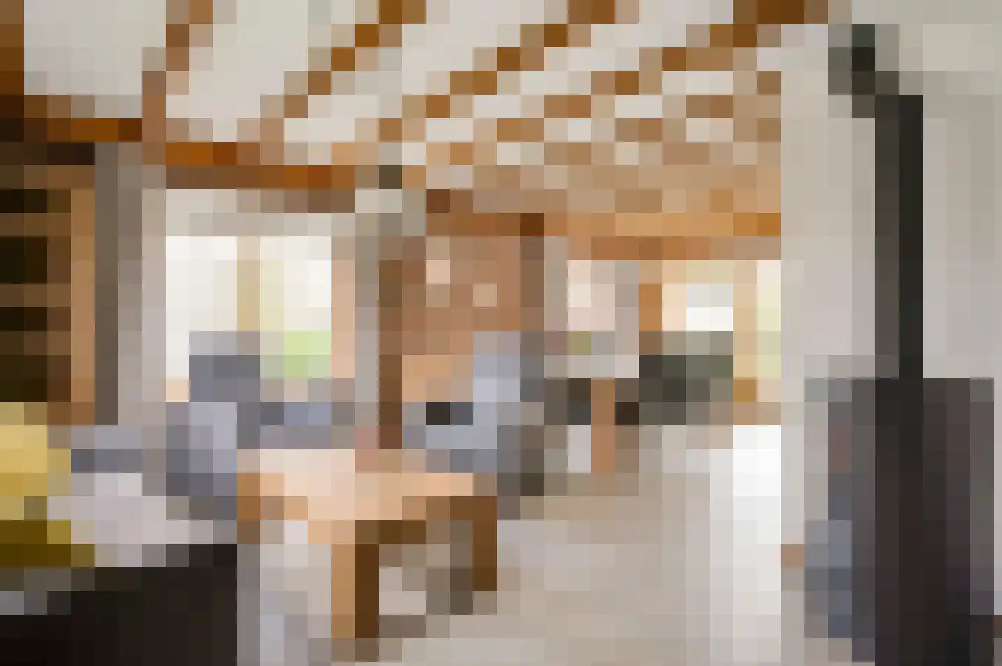 Sef van Megenlaan 7 Broekhuizen thumbnail 26