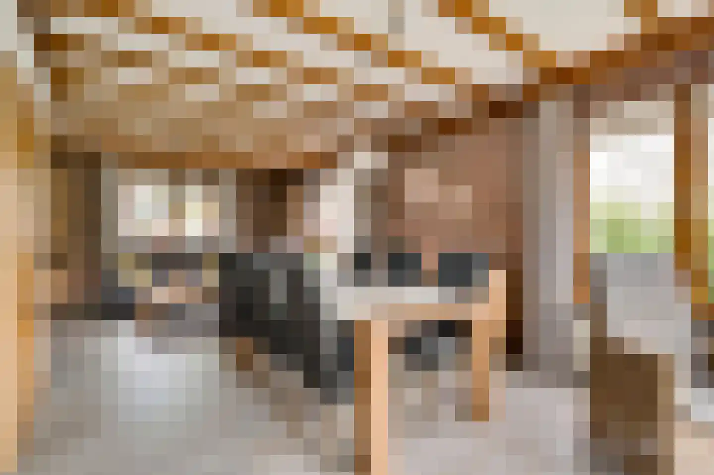 Sef van Megenlaan 7 Broekhuizen thumbnail 28