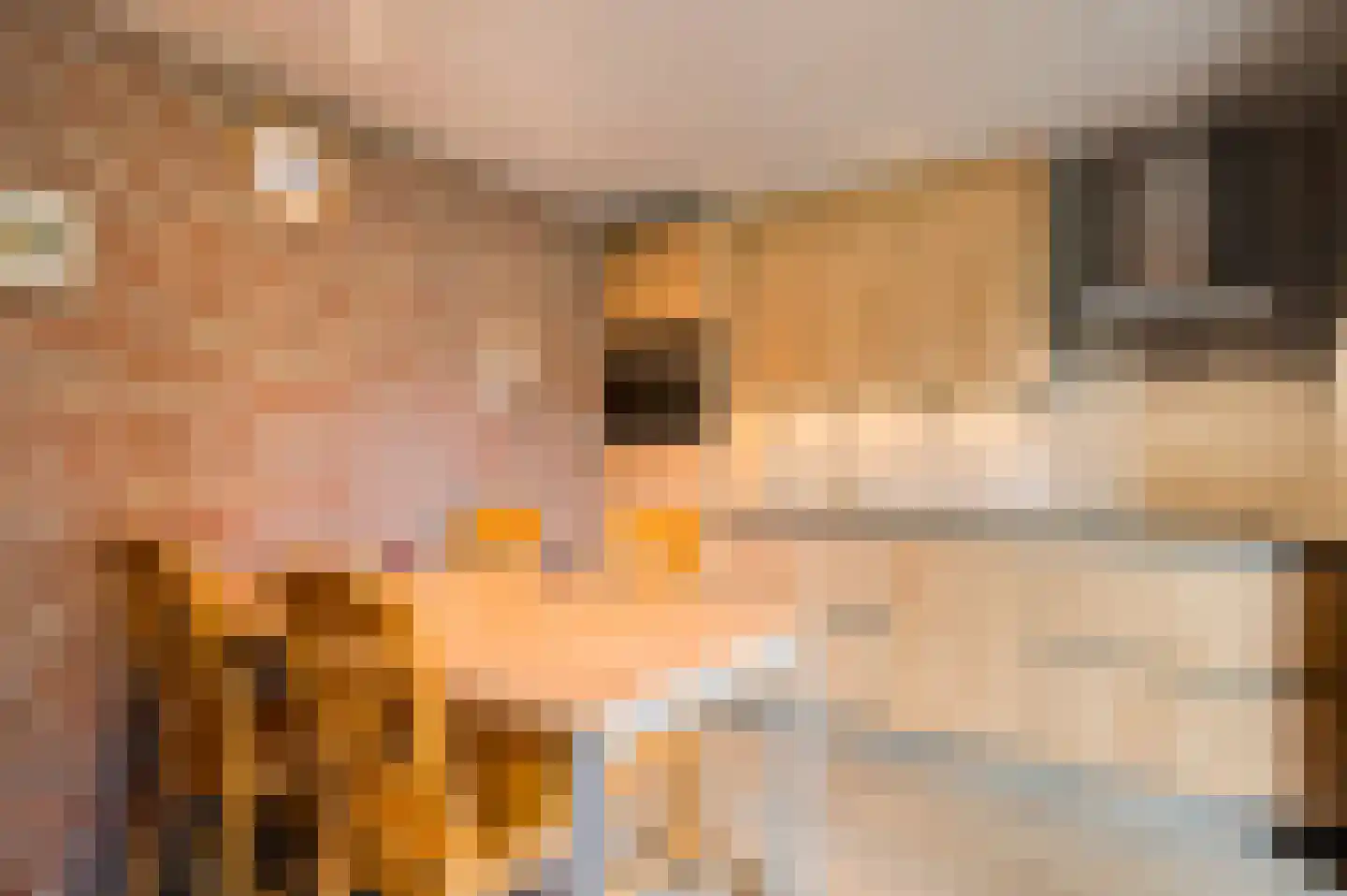 Sef van Megenlaan 7 Broekhuizen foto 3