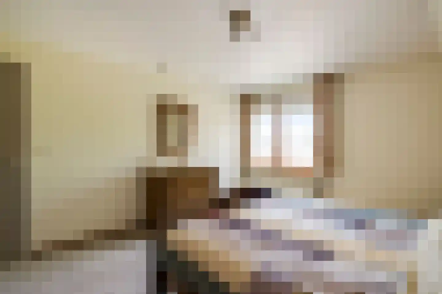 Sef van Megenlaan 7 Broekhuizen thumbnail 34