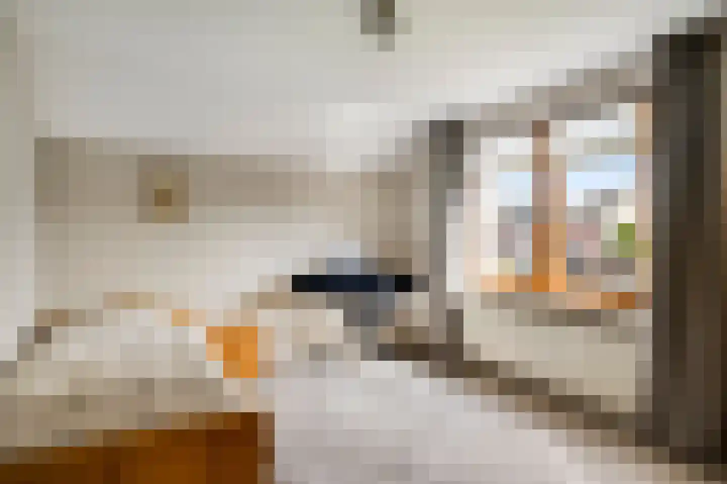 Sef van Megenlaan 7 Broekhuizen thumbnail 35