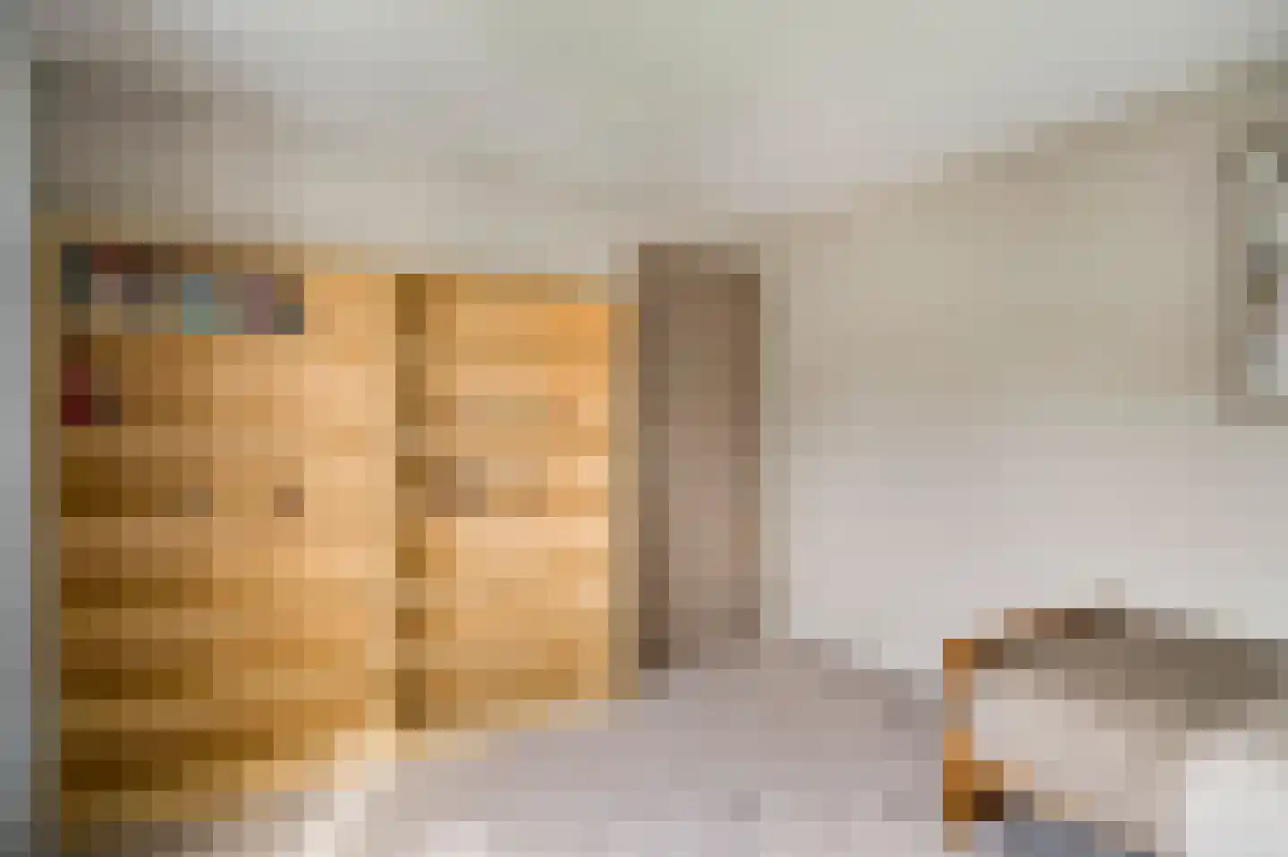Sef van Megenlaan 7 Broekhuizen thumbnail 36
