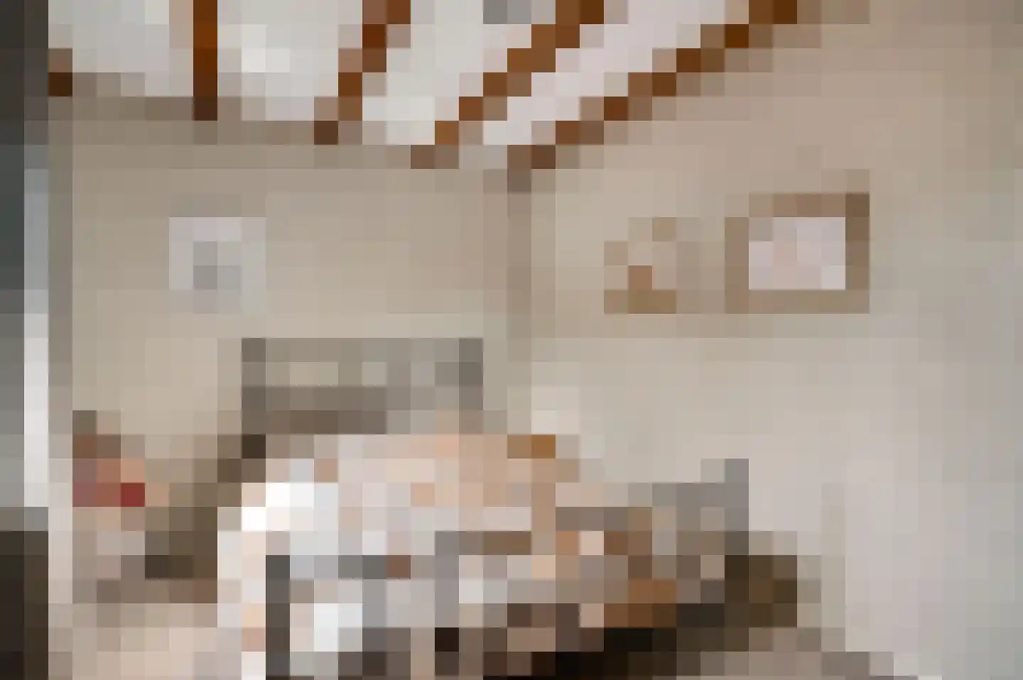 Sef van Megenlaan 7 Broekhuizen thumbnail 37