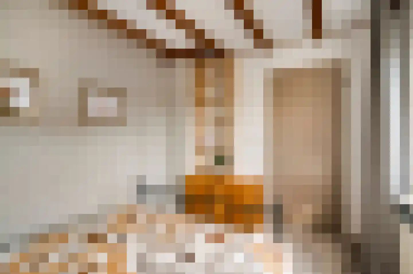 Sef van Megenlaan 7 Broekhuizen thumbnail 38