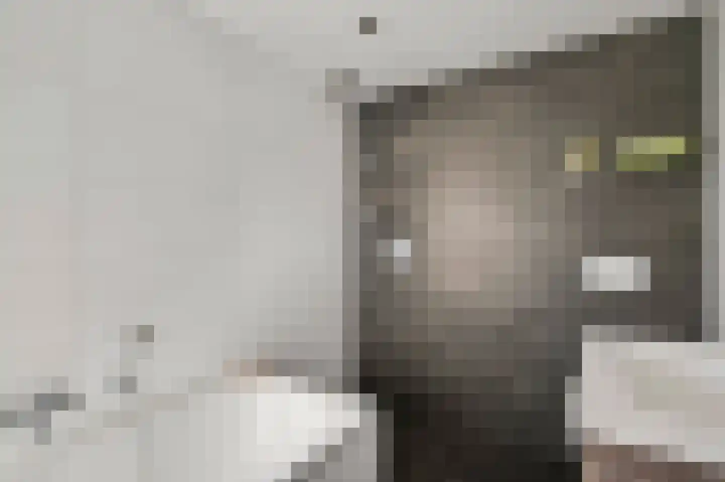 Sef van Megenlaan 7 Broekhuizen thumbnail 40