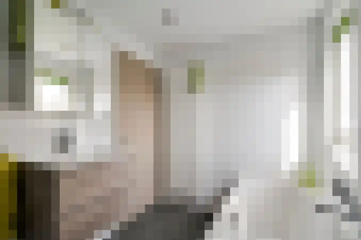 Sef van Megenlaan 7 Broekhuizen thumbnail 42