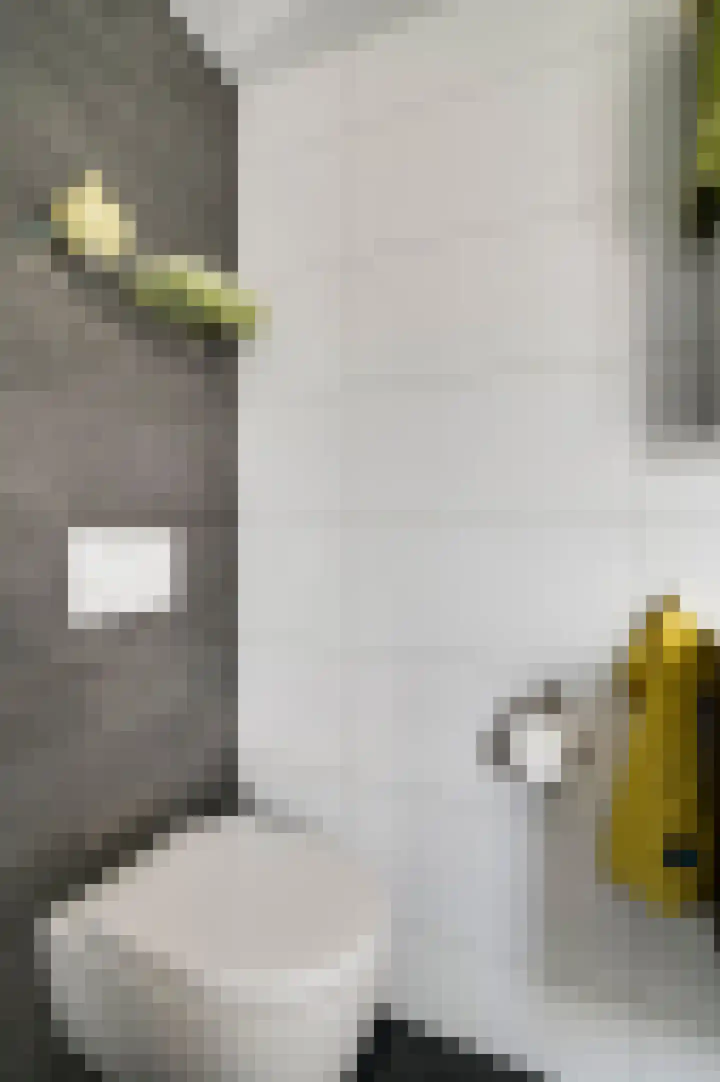 Sef van Megenlaan 7 Broekhuizen thumbnail 43
