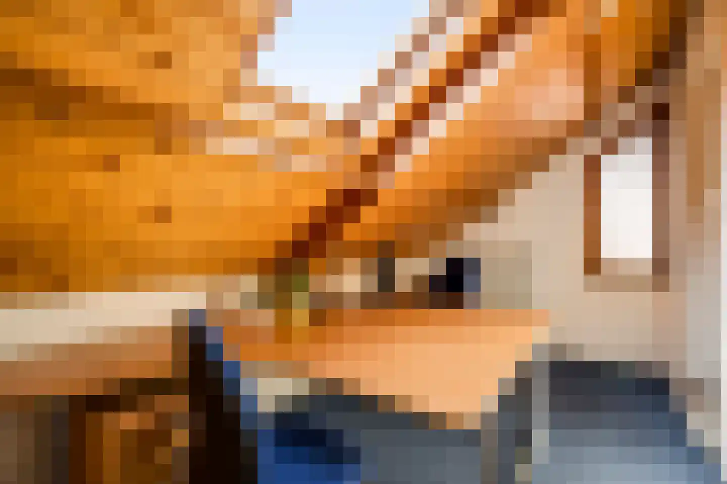 Sef van Megenlaan 7 Broekhuizen thumbnail 46