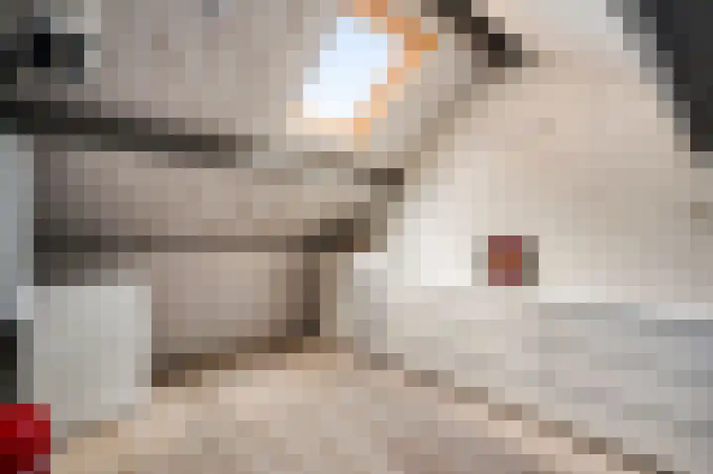 Sef van Megenlaan 7 Broekhuizen thumbnail 47