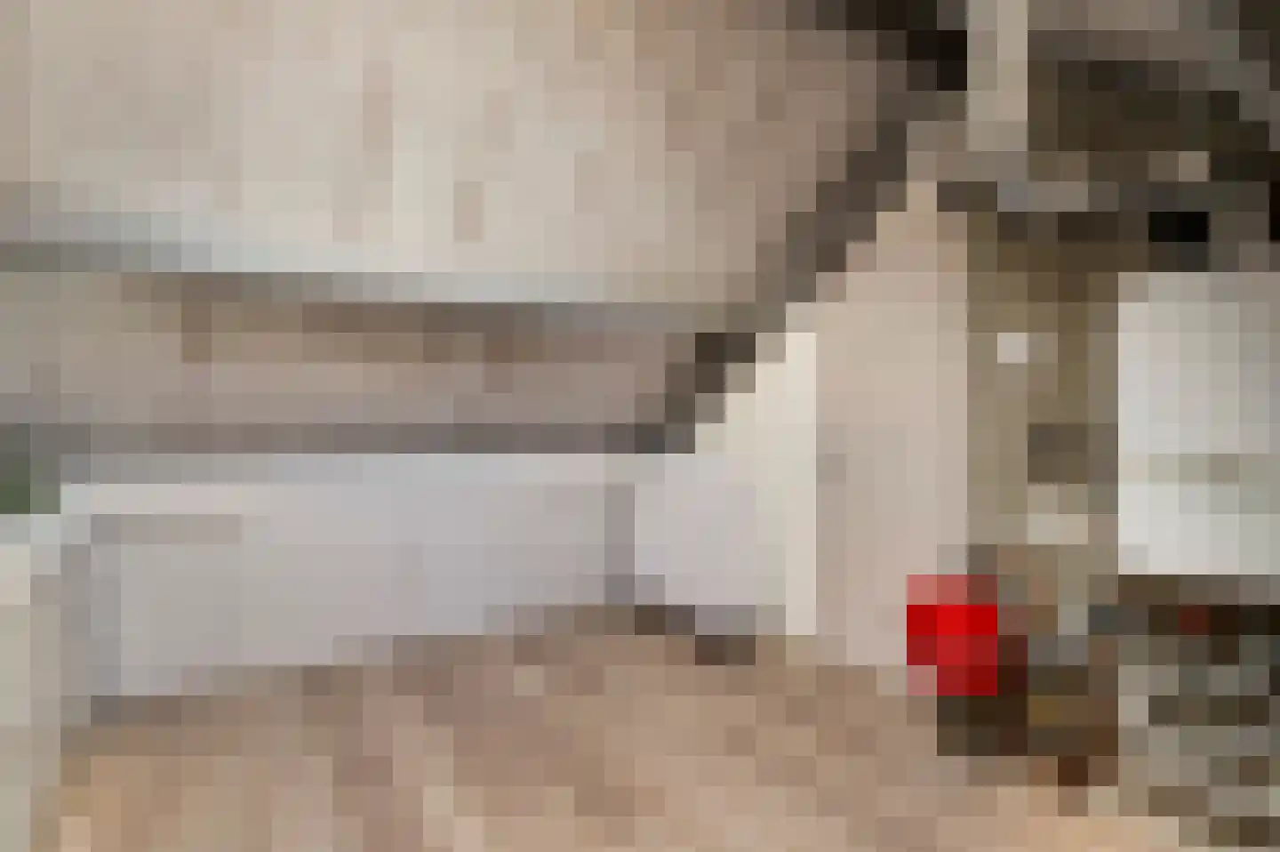 Sef van Megenlaan 7 Broekhuizen thumbnail 48