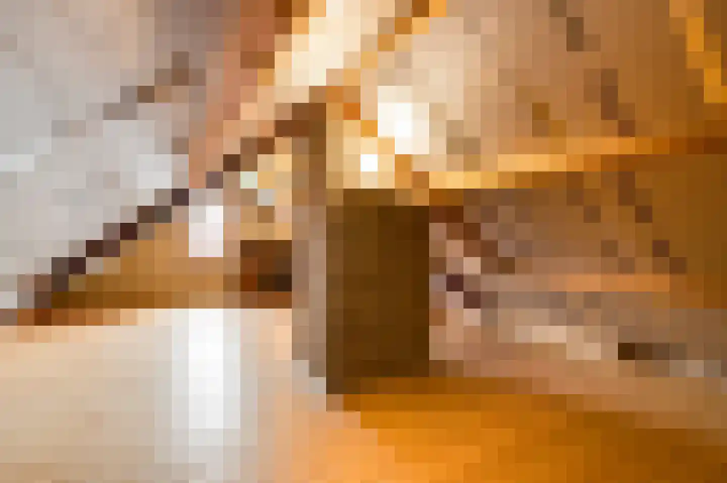 Sef van Megenlaan 7 Broekhuizen thumbnail 49