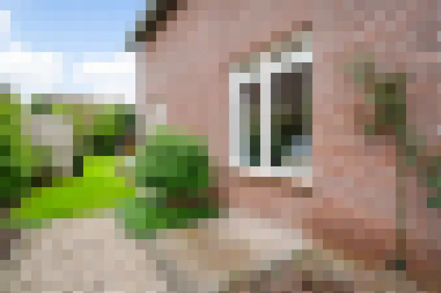 Sef van Megenlaan 7 Broekhuizen thumbnail 51