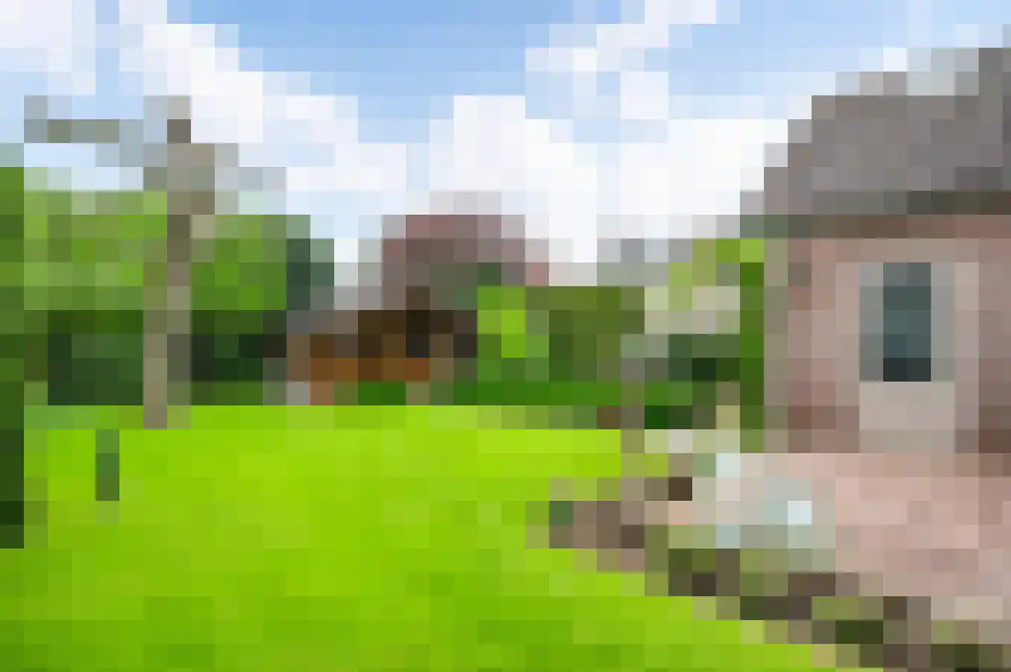 Sef van Megenlaan 7 Broekhuizen thumbnail 53