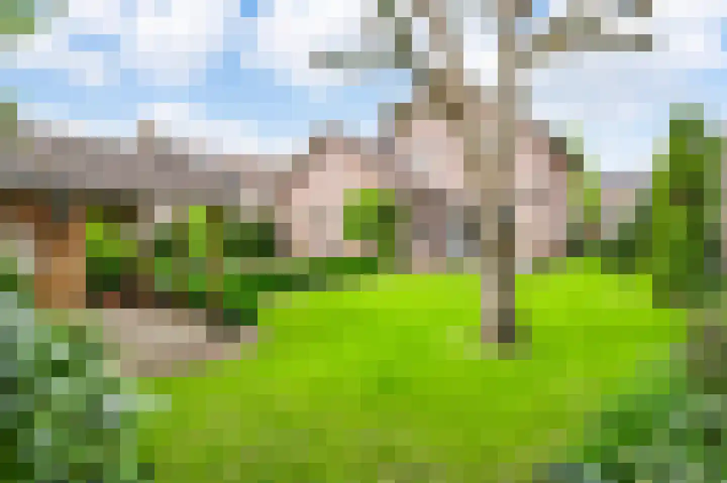 Sef van Megenlaan 7 Broekhuizen thumbnail 57
