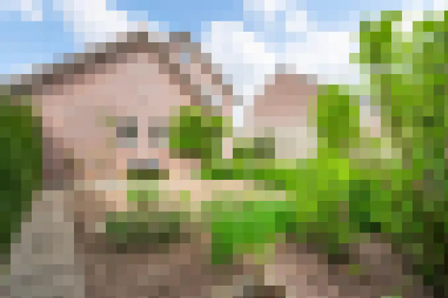 Sef van Megenlaan 7 Broekhuizen thumbnail 58