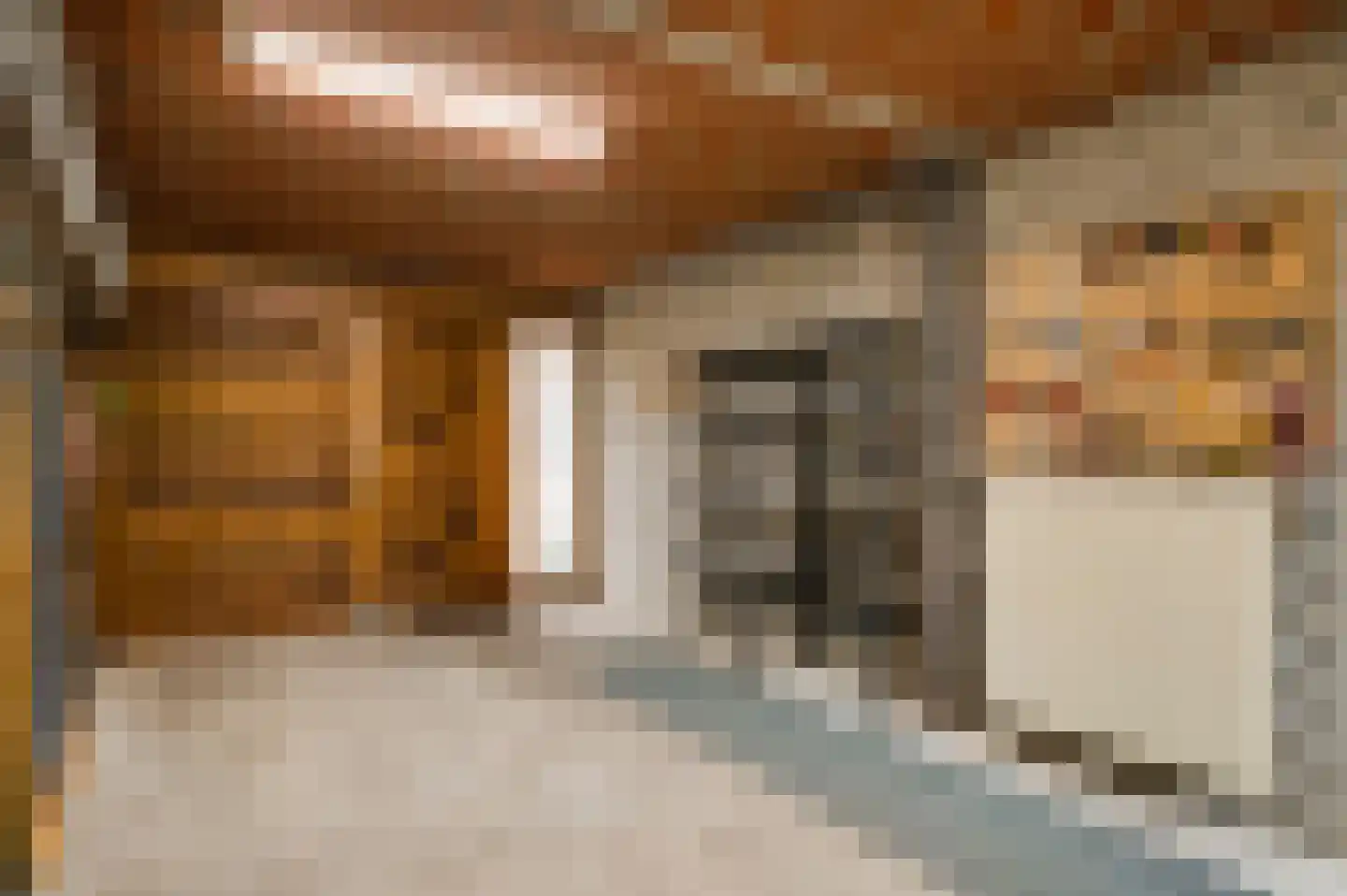 Sef van Megenlaan 7 Broekhuizen thumbnail 59