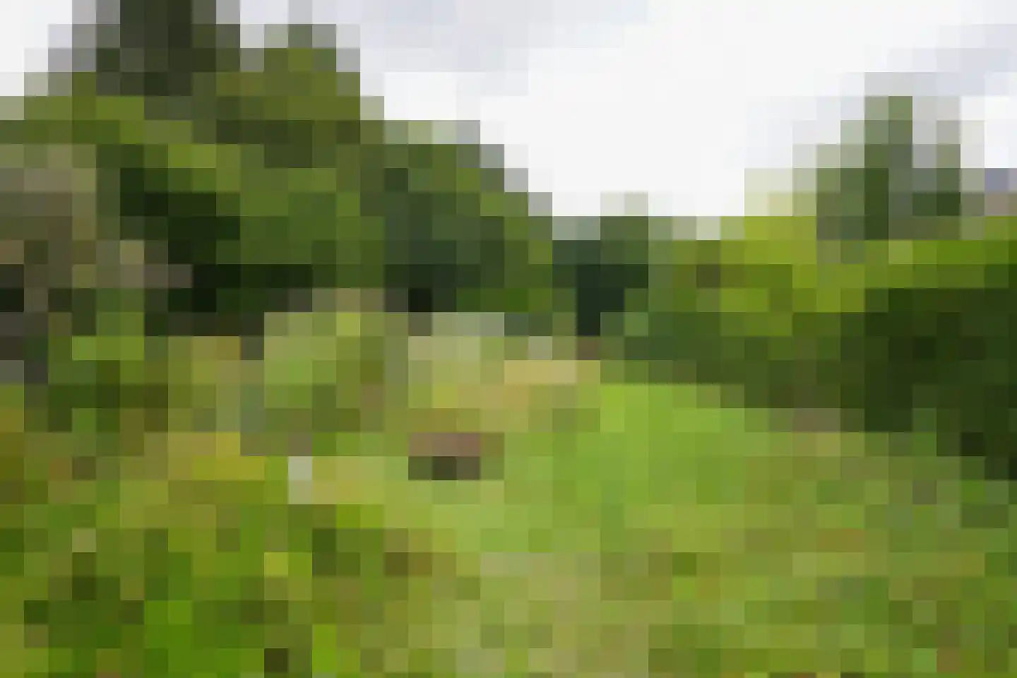 Seffenterstraat 49 Vaals thumbnail 20