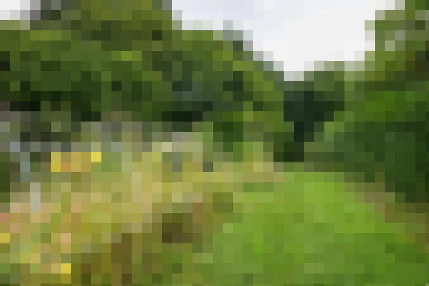 Seffenterstraat 49 Vaals thumbnail 21