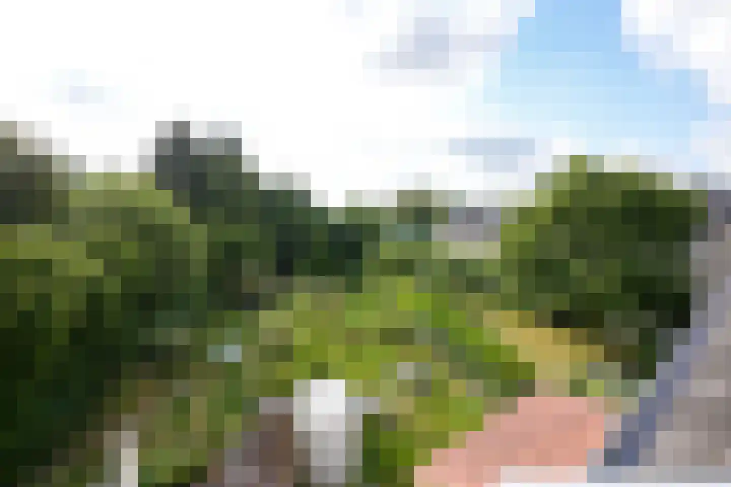 Seffenterstraat 49 Vaals thumbnail 24