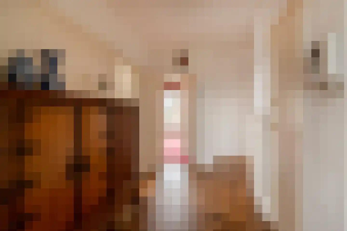 Segbroeklaan 10 Den Haag thumbnail 13