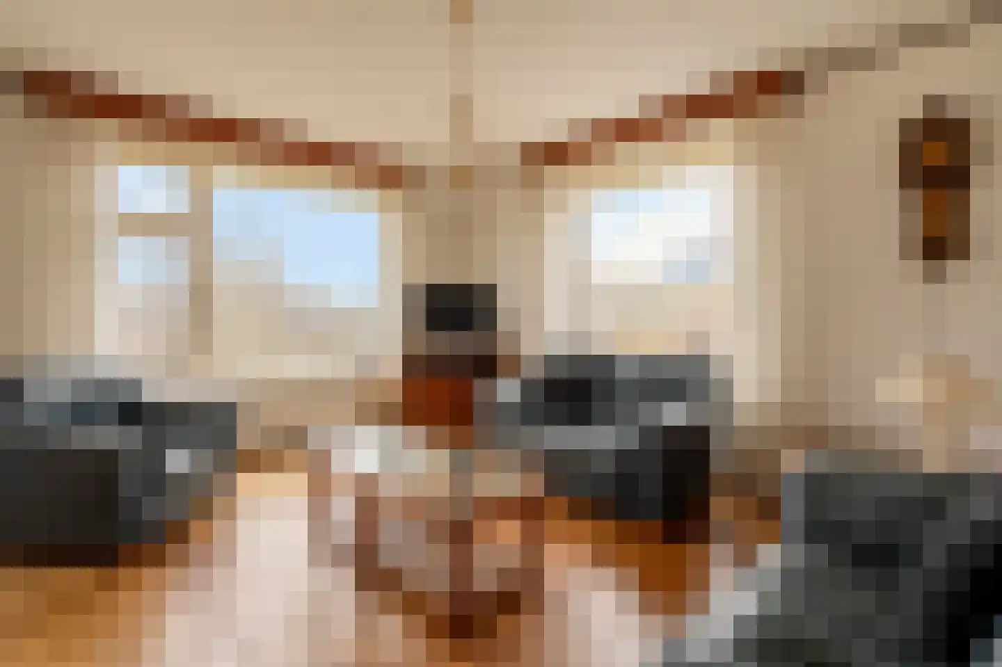 Segbroeklaan 10 Den Haag thumbnail 9