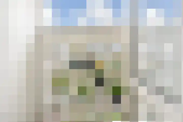 Segbroeklaan 136 Den Haag thumbnail 19