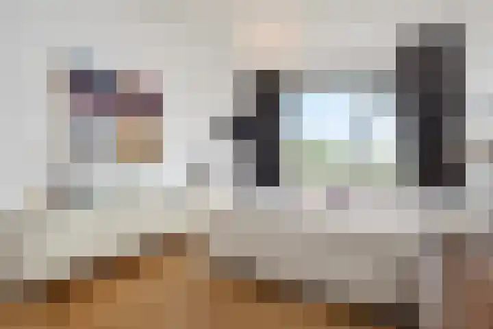 Segbroeklaan 136 Den Haag thumbnail 22