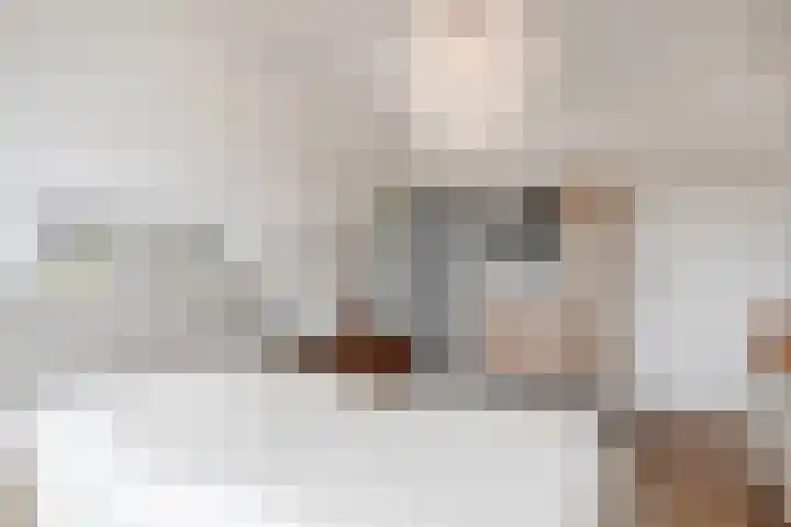 Segbroeklaan 136 Den Haag thumbnail 23