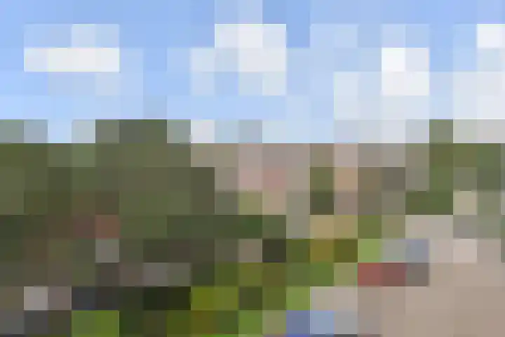 Segbroeklaan 136 Den Haag thumbnail 29