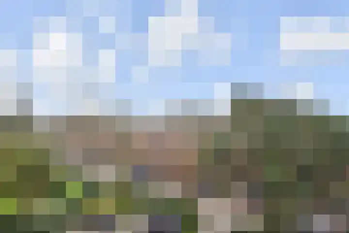 Segbroeklaan 136 Den Haag thumbnail 30