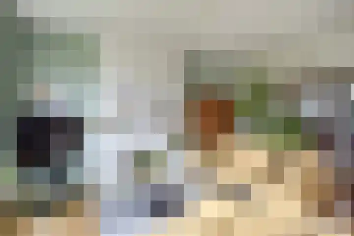 Segbroeklaan 136 Den Haag thumbnail 7